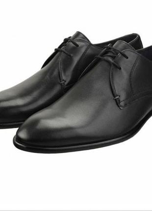 Шкіряні натуральні туфлі ted baker англія оригінал шкіра