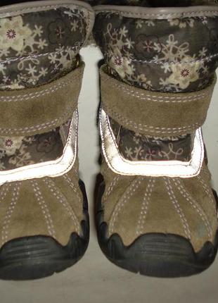 Зимние ботинки primigi taite gray, 22, 14, 5 см.4 фото