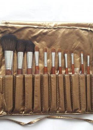 Набір кистей для макіяжу шані pro brush set - studio quality with golden pouch - 18pc