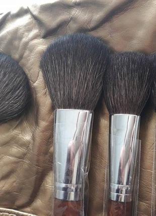 Набір кистей для макіяжу шані pro brush set - studio quality with golden pouch - 18pc3 фото