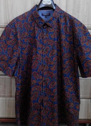 Чоловіча сорочка; limited edition; xxl