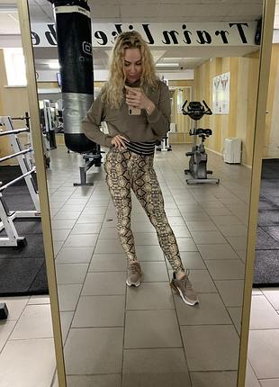 Модні жіночі❤️зміїний принт високі приємні до тіла ,бразильська попа пуш-пп
