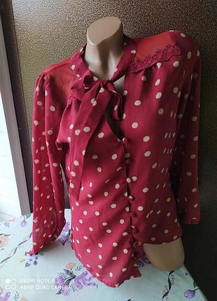 Блуза в горох