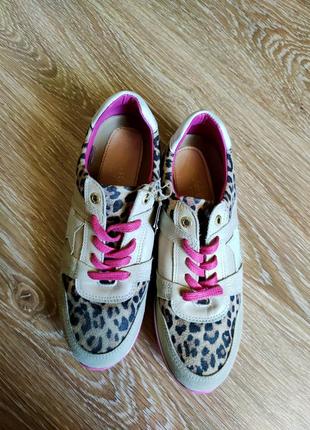 Кожаные кроссовки бежевые с леопардовым принтом натуральная кожа pantofola d'oro2 фото