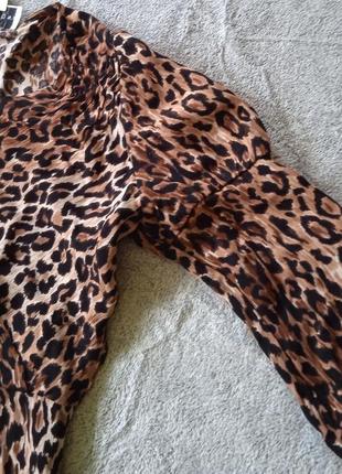 Плетье леопардовое5 фото