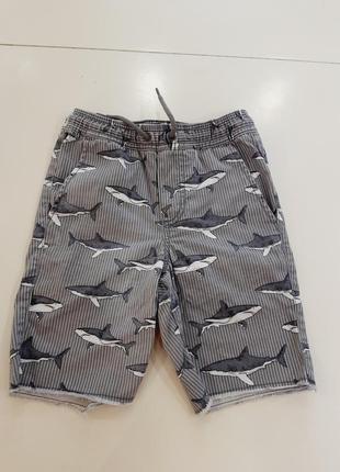 Шорты