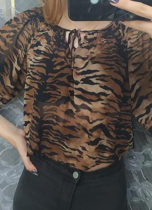 Шифоновая блузка от zara1 фото