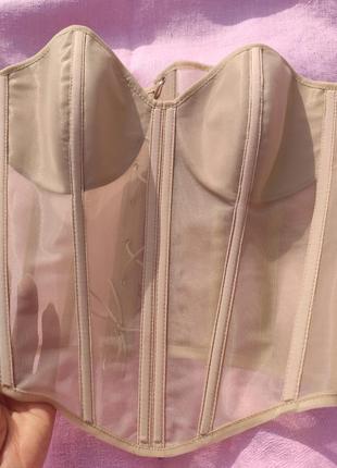Опт, розница, дропшиппинг. люкс корсет с чашкой 🌟