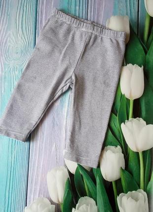 Лосіни для дівчинки