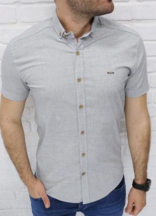 Стильна, річна, бавовняна приталені теніска