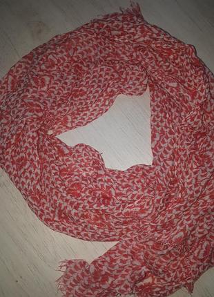 Шарфик бабочки