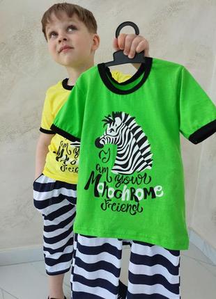 Комплект футболка и бриджи летний зебра