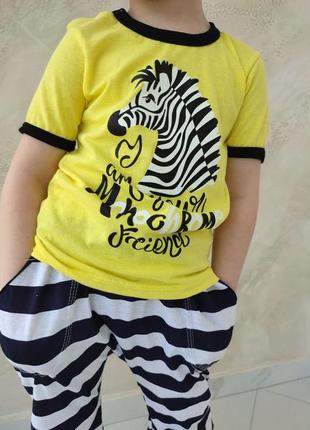 Комплект футболка и бриджи летний зебра2 фото