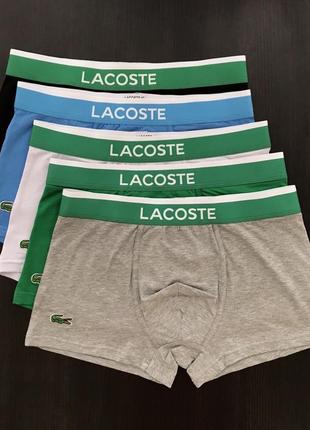 Чоловіча білизна lacoste2 фото