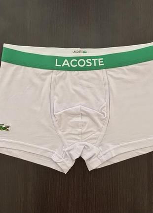 Чоловіча білизна lacoste 3