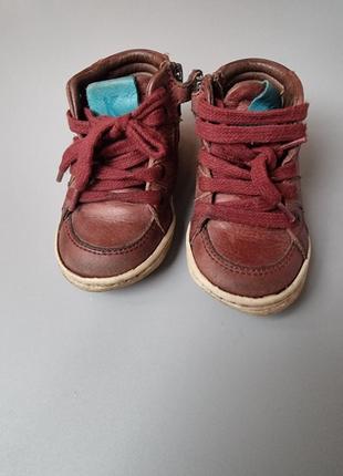 Туфли ботинки для мальчика, р. 20, ботиночки демисезонные, кожанные. kickers4 фото