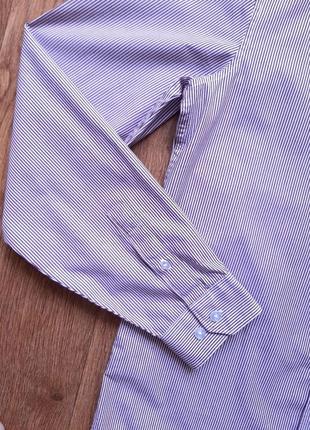 Рубашка мужская penguin (англия) хлопок s slim fit белая в бордовую полоску