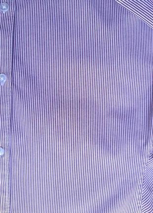 Рубашка мужская penguin (англия) хлопок s slim fit белая в бордовую полоску