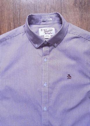 Сорочка чоловіча penguin (англія) бавовна s slim fit біла в бордову смужку