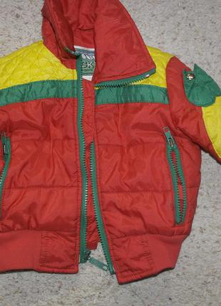 Деми курточка кольорова