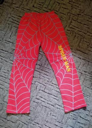 Теплые спортивные штаны