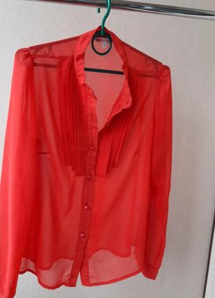 Блуза жіноча