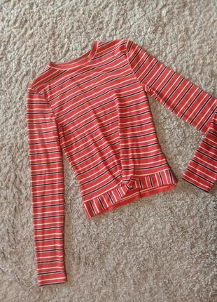 Водолазку, топ з рукавами в рубчик, смугастий