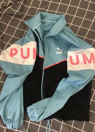 Спортивный костюм puma2 фото