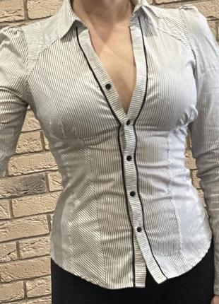 Жіноча блуза