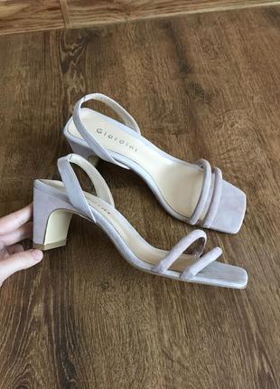 Босоніжки з квадратним носком guardiani