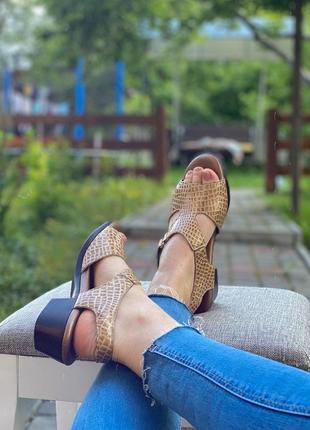 Босоніжки-сандалі бренду sas