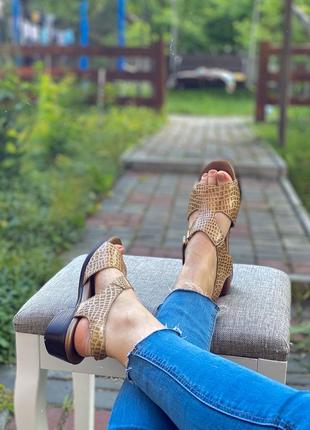 Босоніжки-сандалі бренду sas9 фото