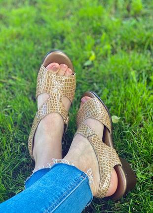 Босоніжки-сандалі бренду sas4 фото