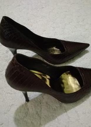 Нові туфлі welfare