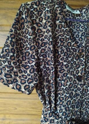 Леопардова ретро - сукні з поясом3 фото