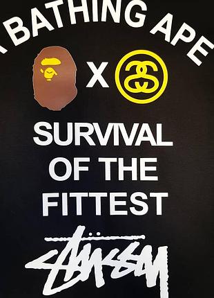 Футболка bape x stussy survival of the fittest black