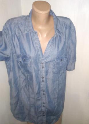 44р- блуза collection1 фото