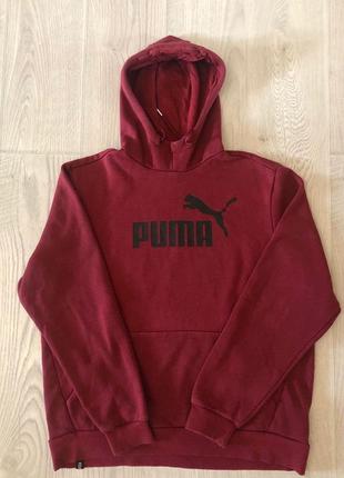 Худі (кофта) puma1 фото