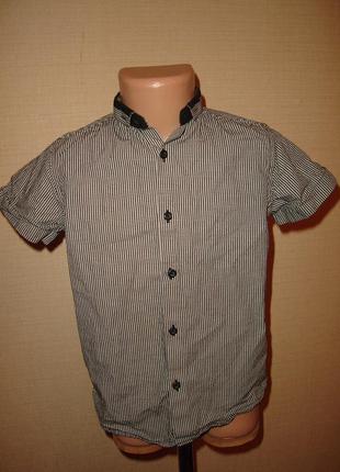 Next рубашка некст на 6 лет рост 116 см, 100% коттон, индия