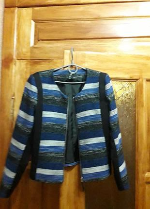 Жикет укорочений