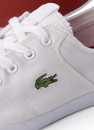 Шикарні, стильні брендові кеди lacoste3 фото