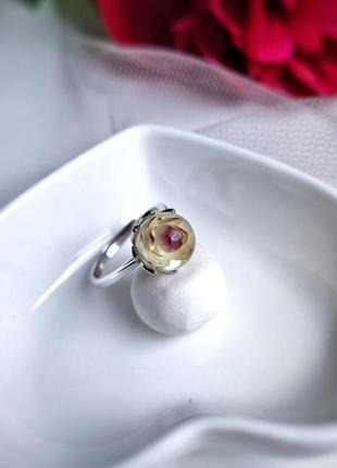 Кольцо с натуральным цветком гелихризума в смоле