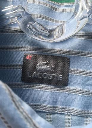 Голубая рубашка в полоску lacoste лакоста🔥🔥🔥8 фото