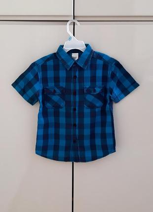 Сорочка, рубашка urban rascals 104/110 розміру.