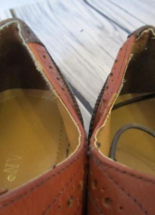 Кожаные туфли броги topman4 фото