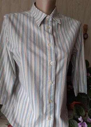 Сорочка з коротким рукавом в смужку бренд lakocte11