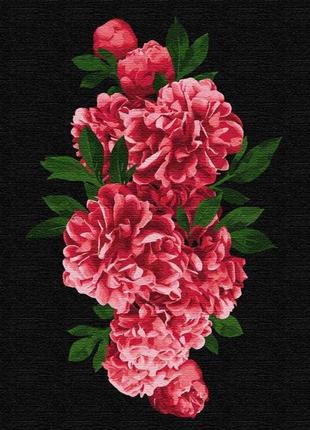 Картина по номерам страстные пионы ид