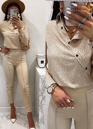 Блуза в цяточку