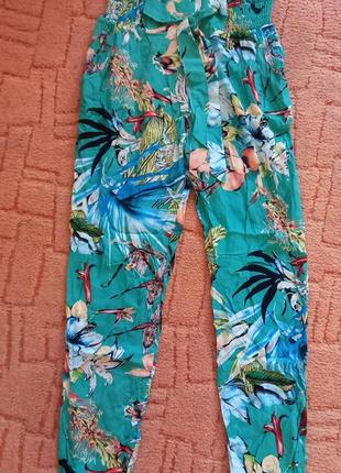 Штанишки,kiss me,