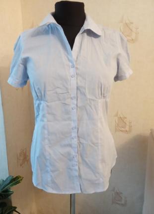 Моделирующая рубашка, полоска, офис, хлопок, дресс код, подчеркивает грудь, peacocks